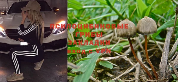 спиды Козельск