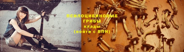 спиды Костерёво