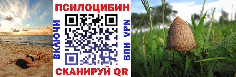 Галлюциногенные грибы мицелий  как найти   Козьмодемьянск 
