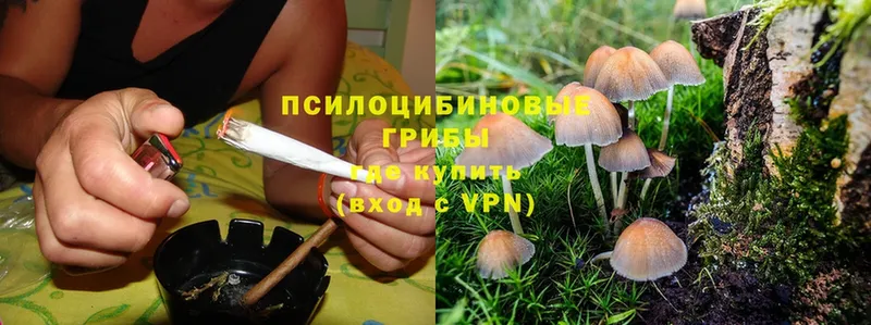 сколько стоит  дарк нет как зайти  Псилоцибиновые грибы MAGIC MUSHROOMS  Козьмодемьянск 